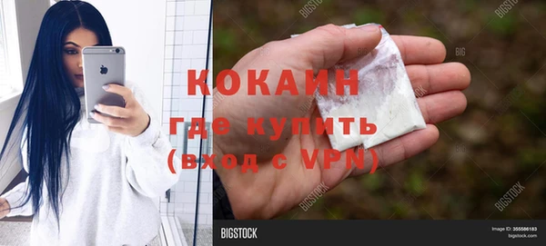 шишки Дмитровск
