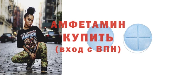 шишки Дмитровск