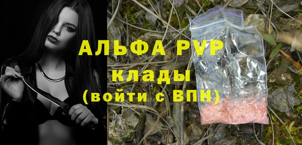скорость Дмитриев