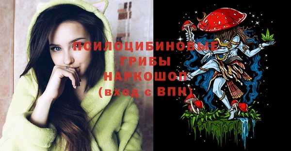 скорость Дмитриев