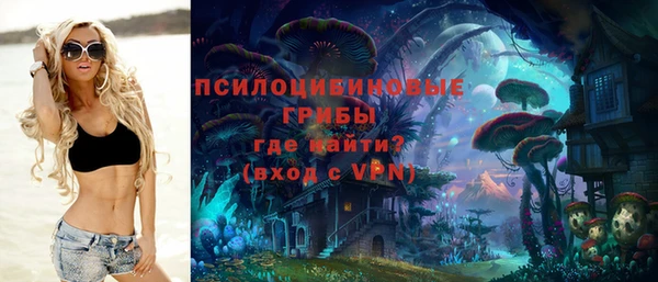 скорость Дмитриев