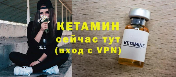 шишки Дмитровск