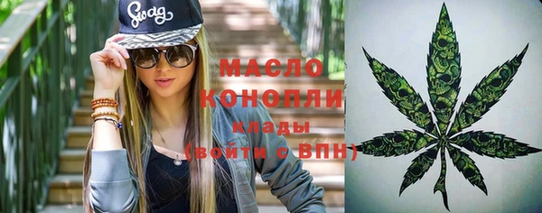 шишки Дмитровск