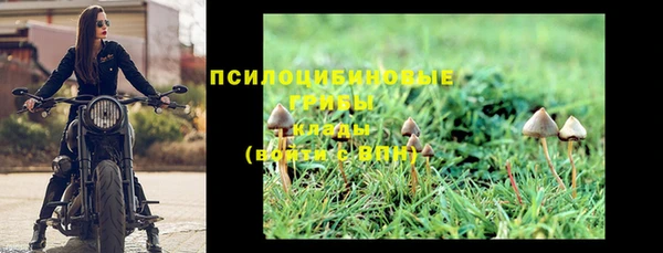 ГАЛЛЮЦИНОГЕННЫЕ ГРИБЫ Дмитров