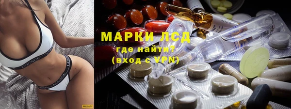 шишки Дмитровск