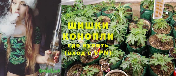 шишки Дмитровск