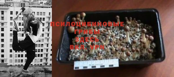 ГАЛЛЮЦИНОГЕННЫЕ ГРИБЫ Дмитров