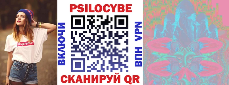 Галлюциногенные грибы Psilocybine cubensis  Купить закладки  Михайловск 